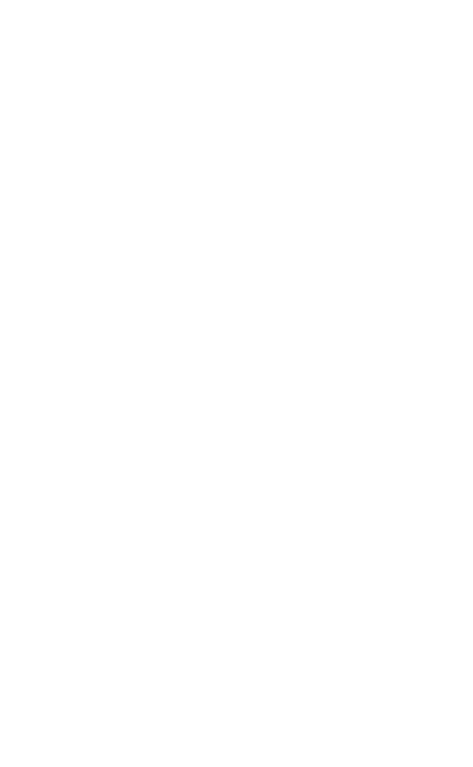 X . La Roue de la Fortune